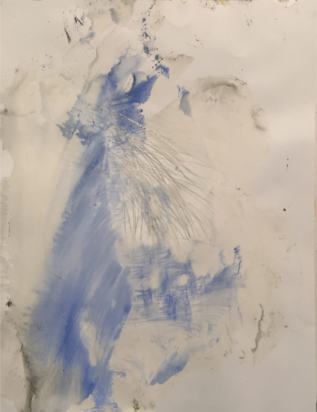 MARC FELD 2016 BIRD  Gouache mine de plomb et eau de javel sur papier 50 x 65 cm