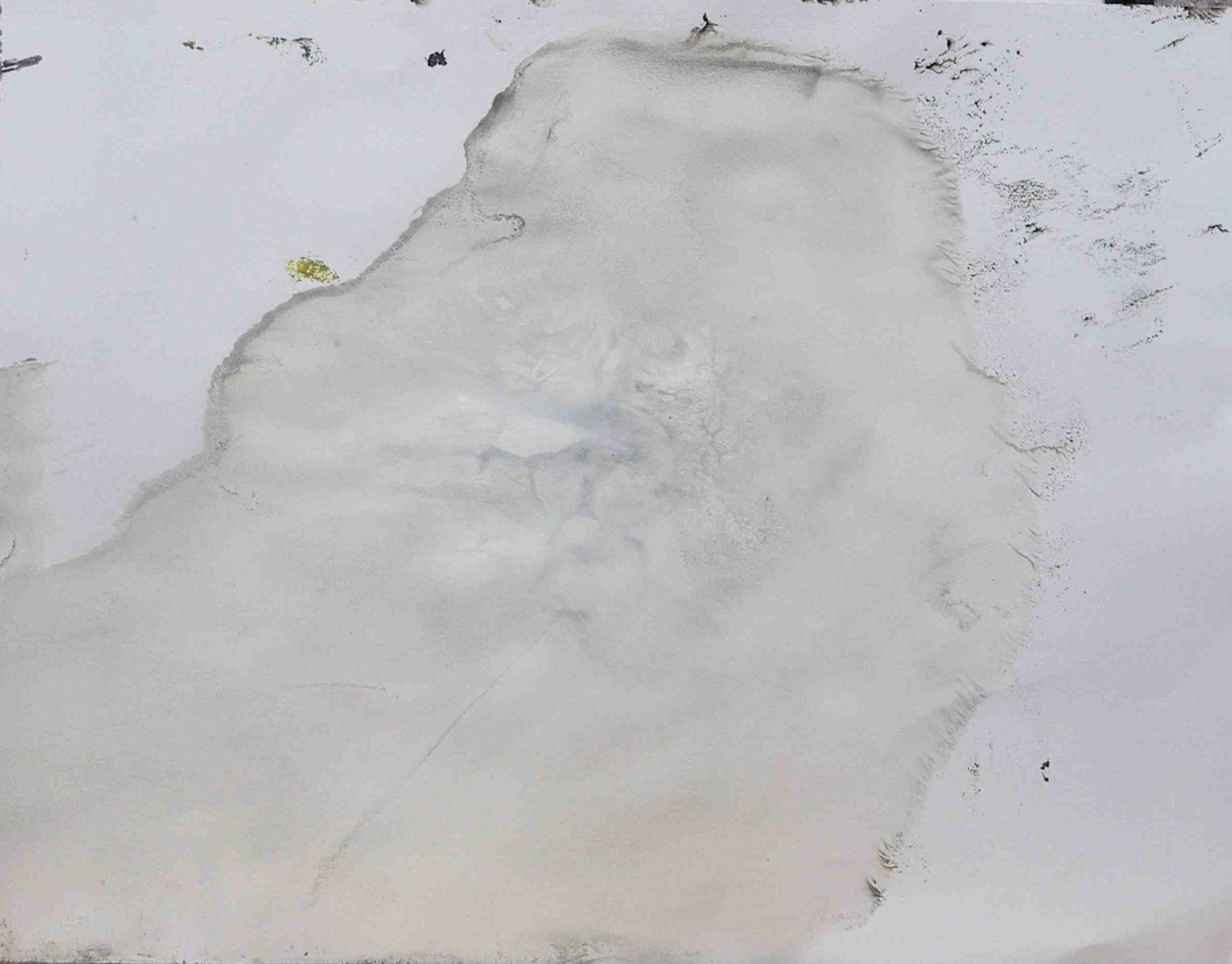 MARC FELD 2016 GALOP Gouache et eau de javel sur papier 50 x 65 cm