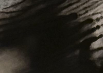 MARC FELD 2025 FLUX Impression pigmentaire sur papier : 5 tirages limités format 30 x 65 cm